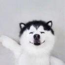 辛集市新起点网吧