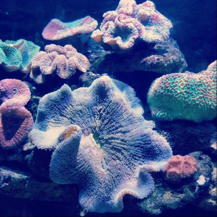 槿然宝贝