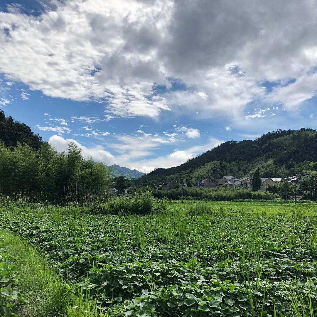 每家每户官方旗舰店