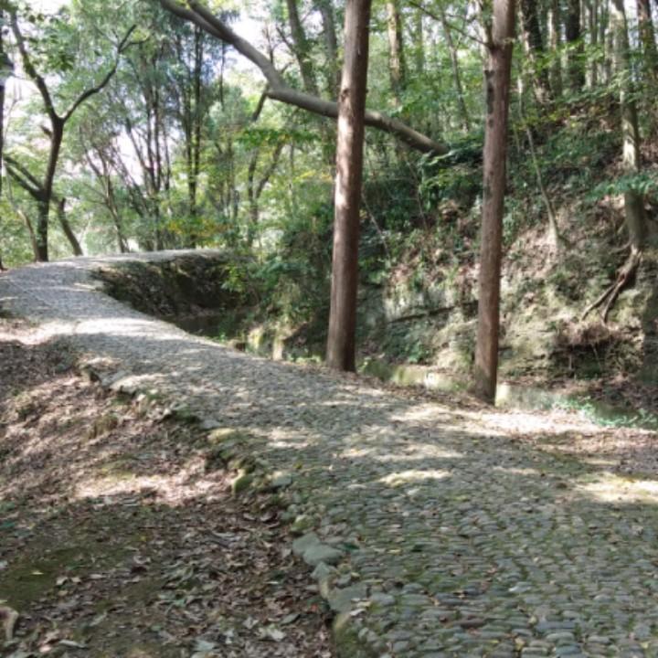 小丫头