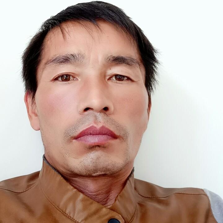 彬彬有李