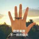 微笑向暖