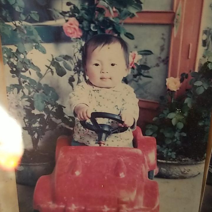 阳光灿烂的日子