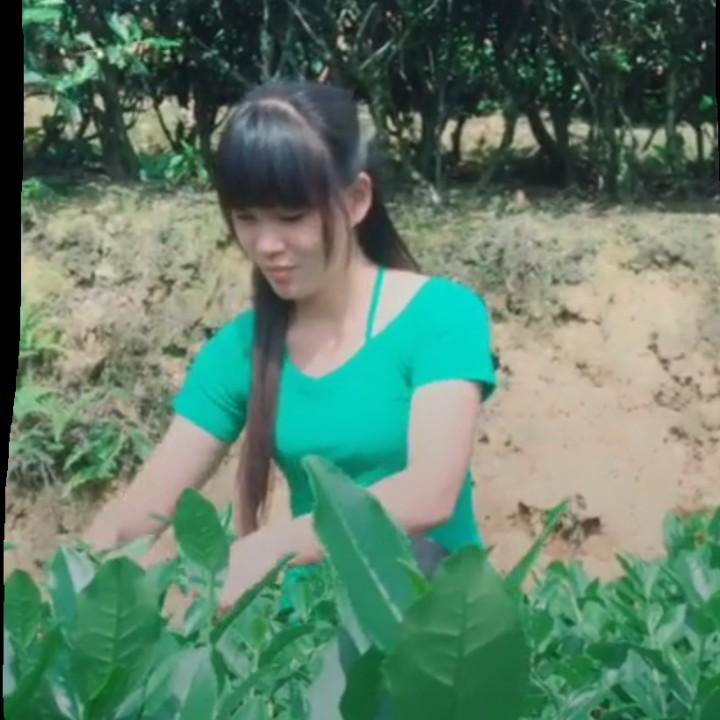 啊红百货