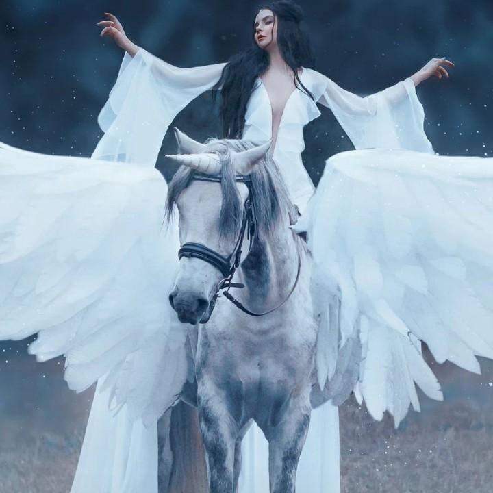 㞱伈焸叾〈c飞〉