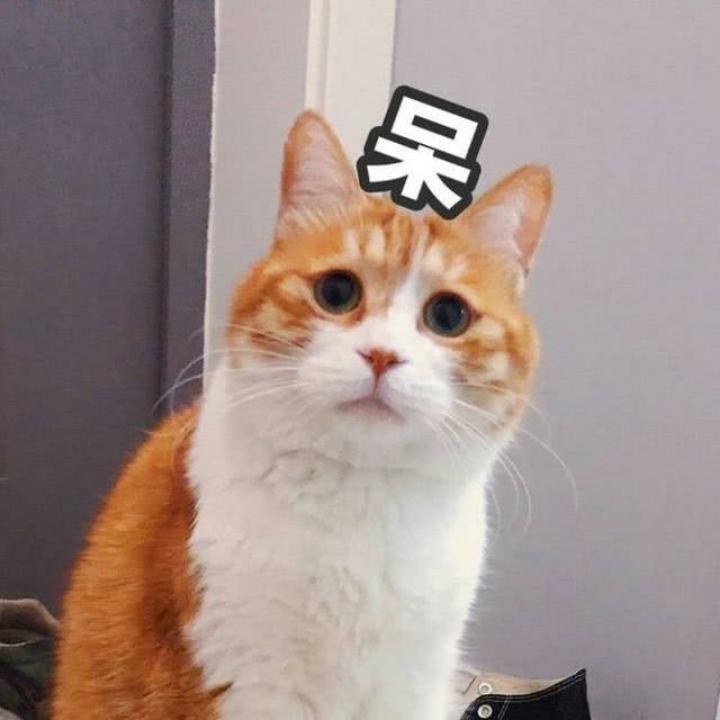 无滋无味烧白水℡