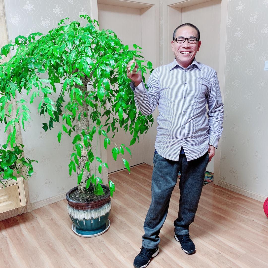 胡登会