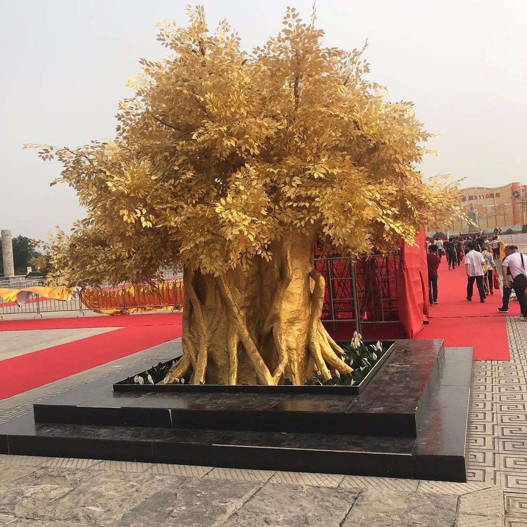 阿星