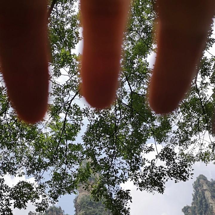 西夏区一哥