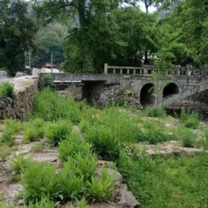 执子之手，与子偕老