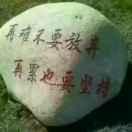 龙图腾