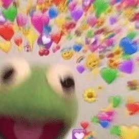 你看见过我的小熊吗