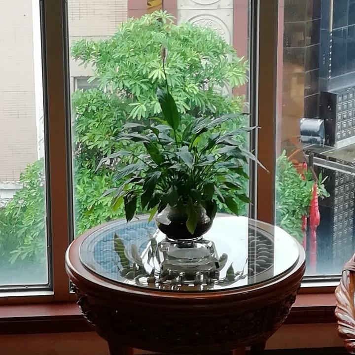 希望！奋斗，杨