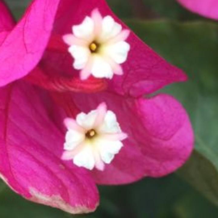 明天会更好