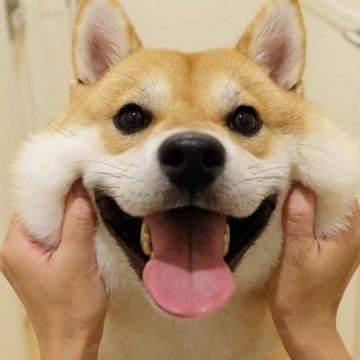 梦中梦