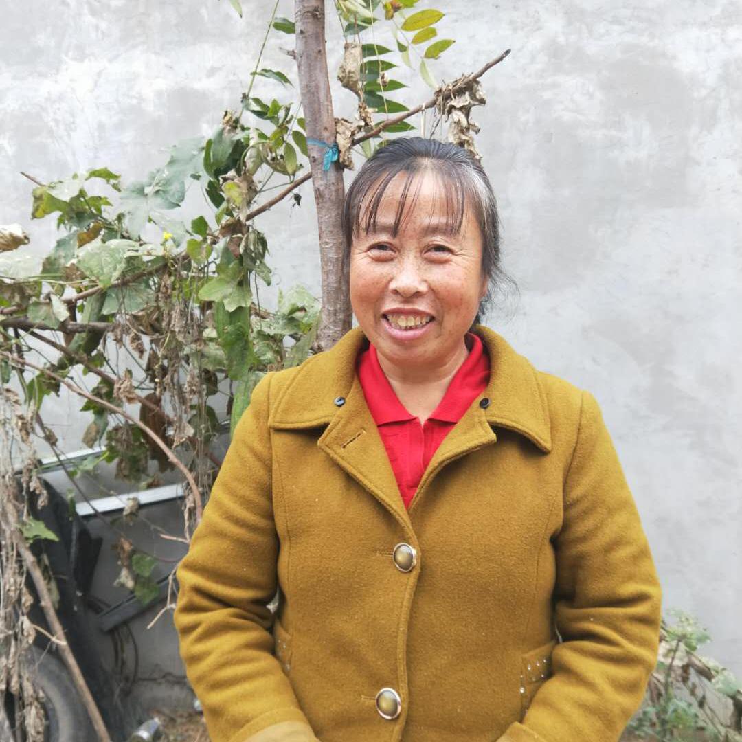 洛阳段姐