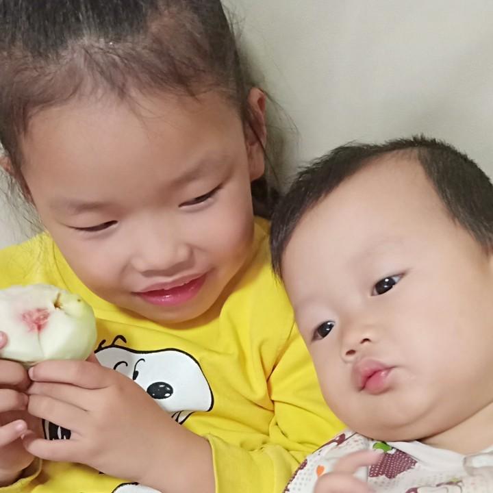 🐵🙈🙉🙊