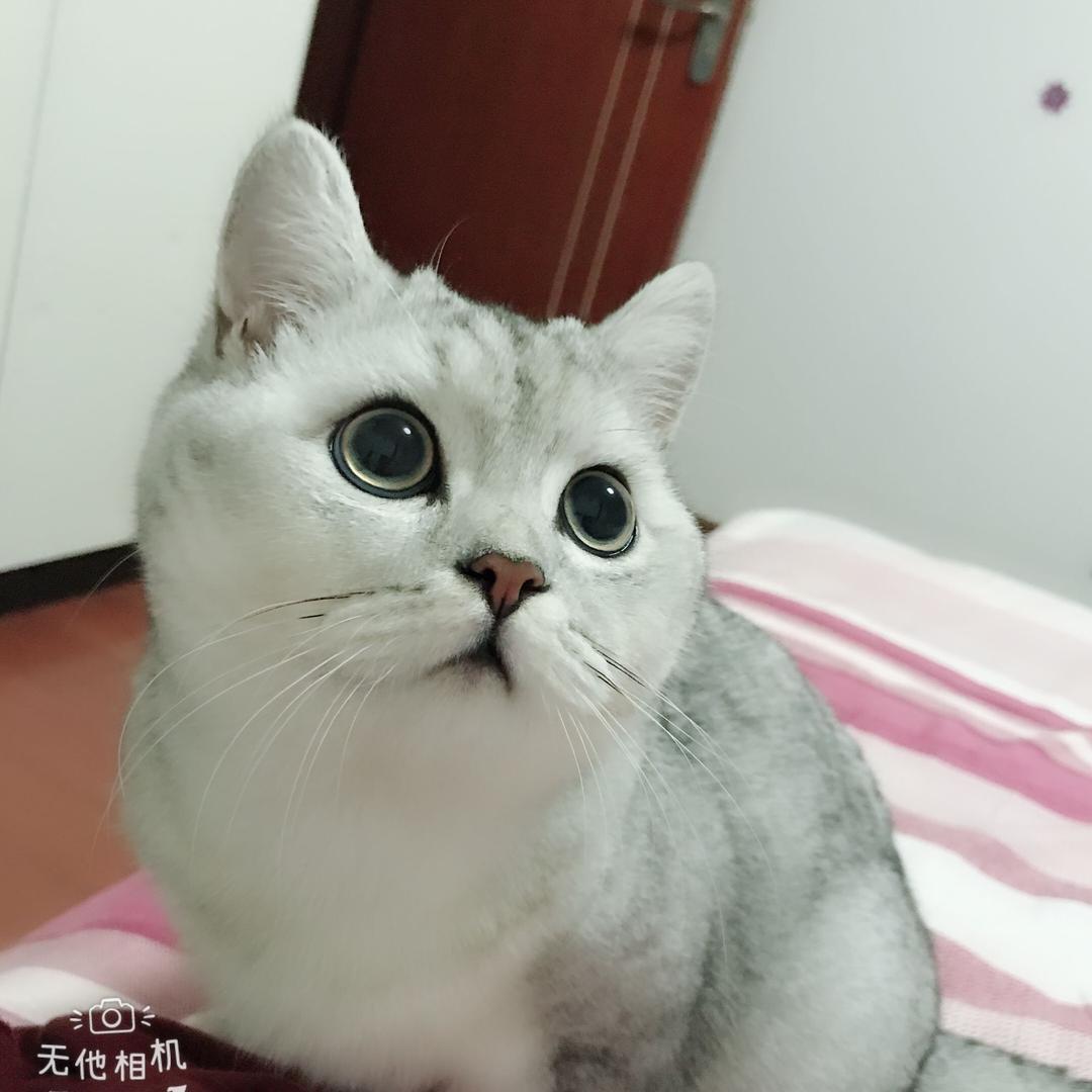 雯妈