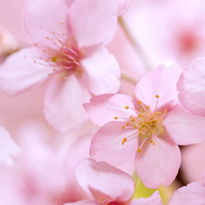 我在身边