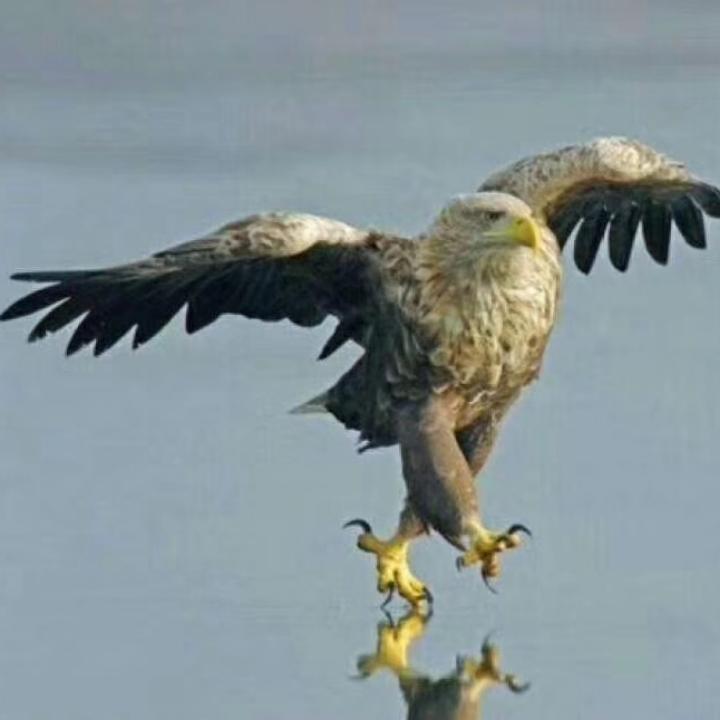 ∝伴笹浮雲 💤