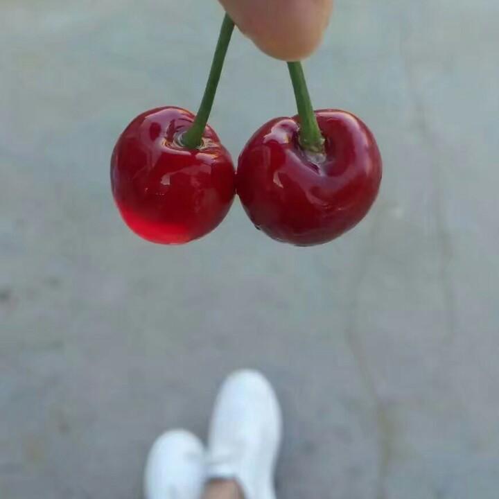 小黑