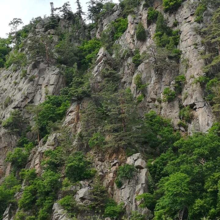 小房顺鑫农机
