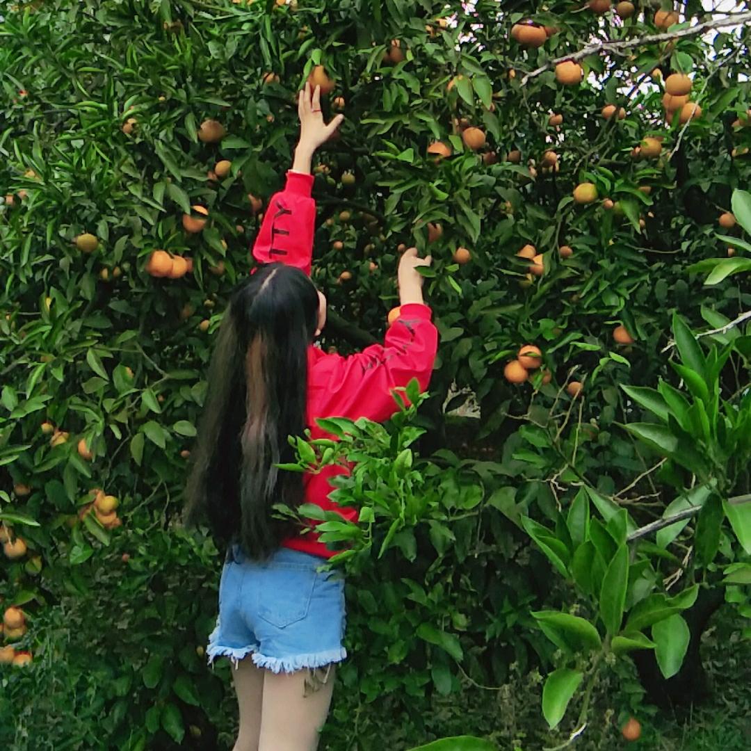 梅红