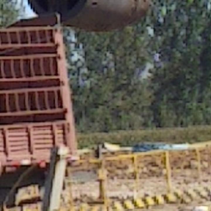 游侠儿4136204452094