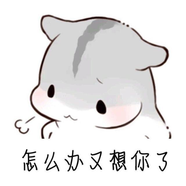 罗抖抖
