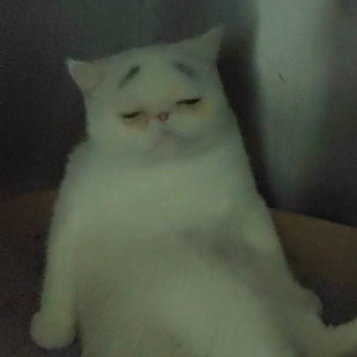 梨酒