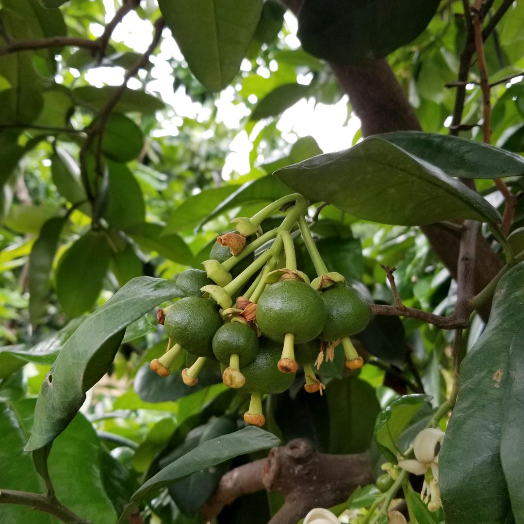 闲着逛逛