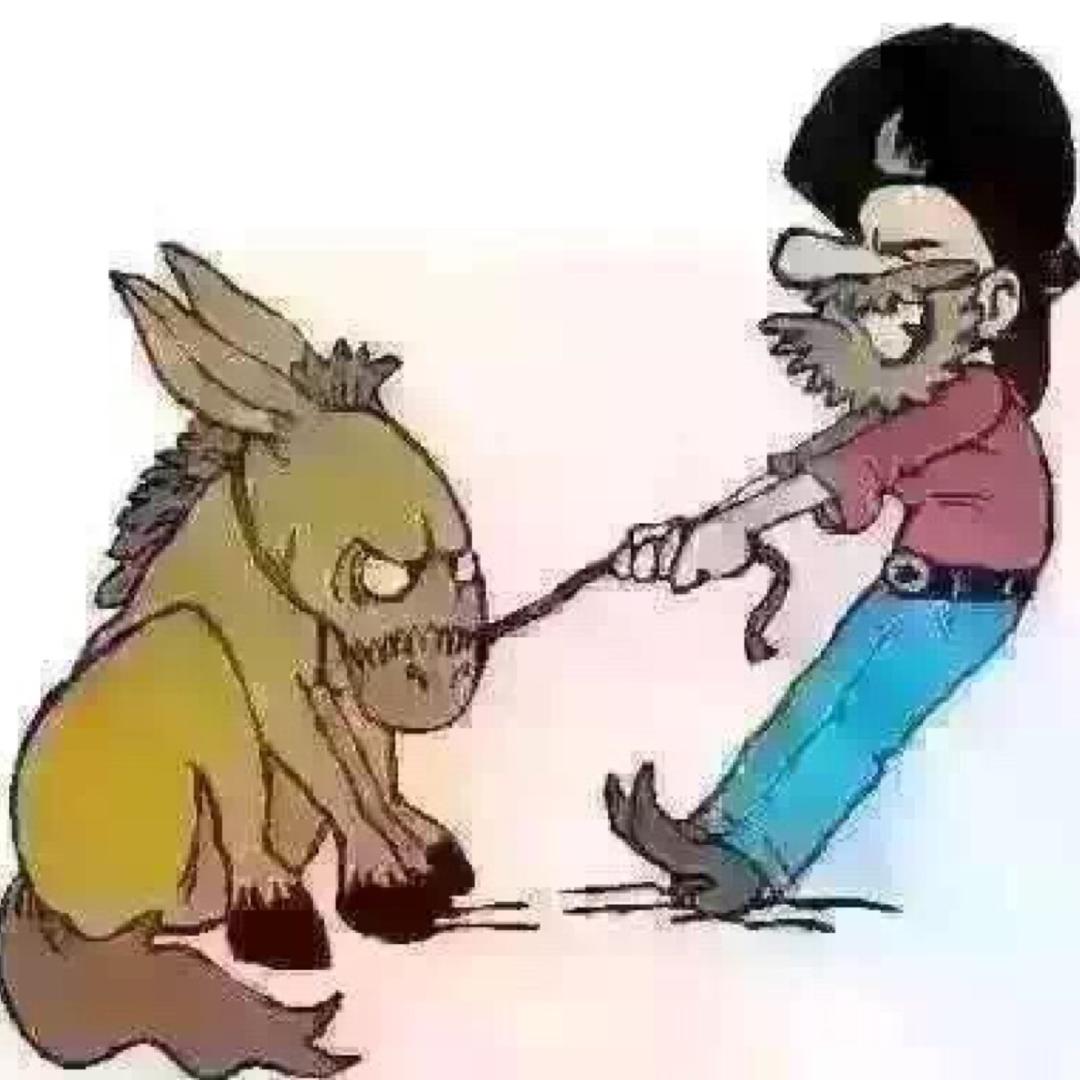 倔强的驴🦄ྀ。