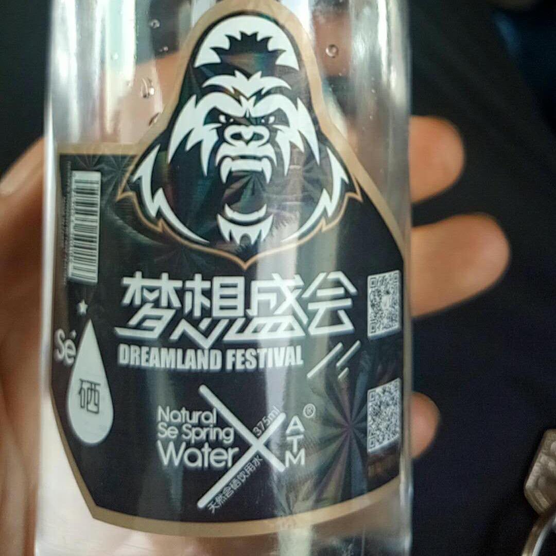 流浪  在梦的边缘