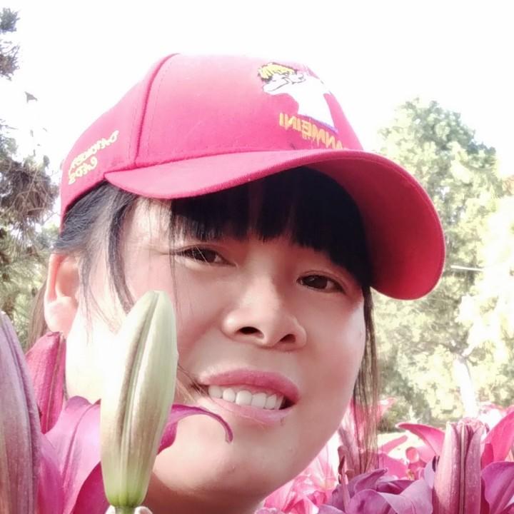 三棵树