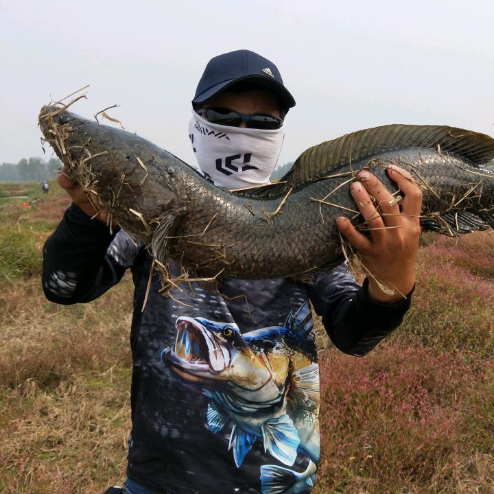 钓鱼人徐涛