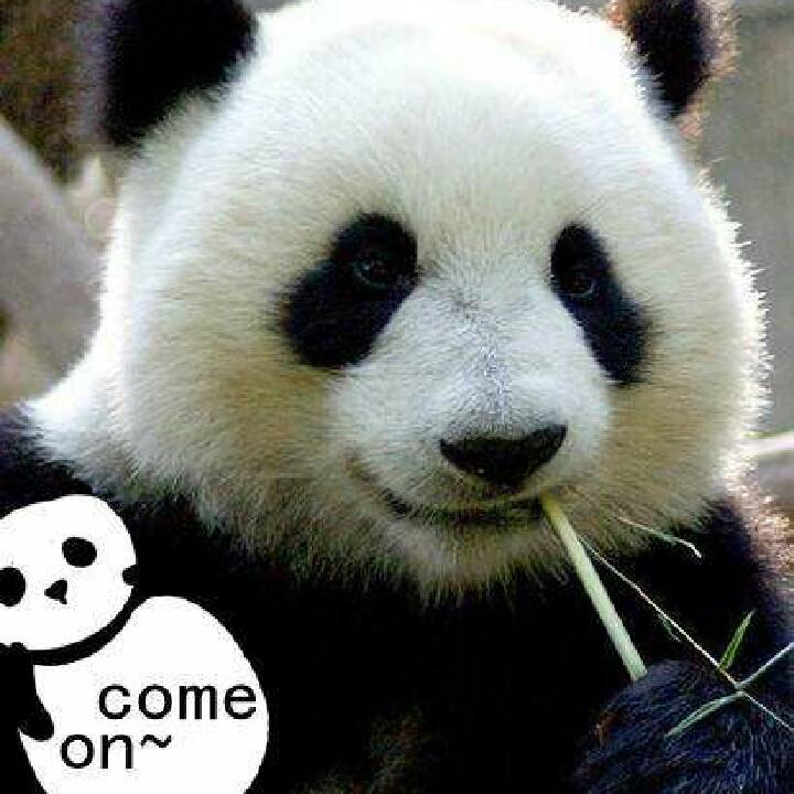 我从不特别