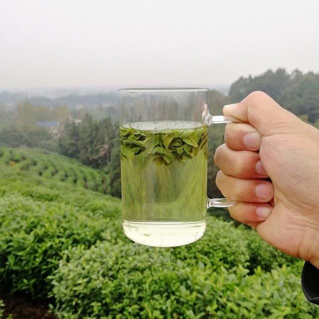 张小茶茶叶