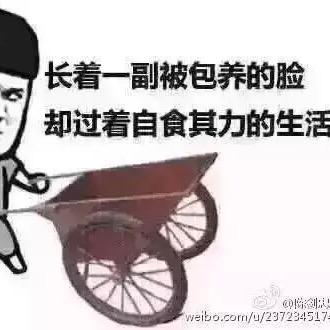 7彩