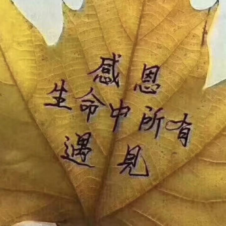 董大傻