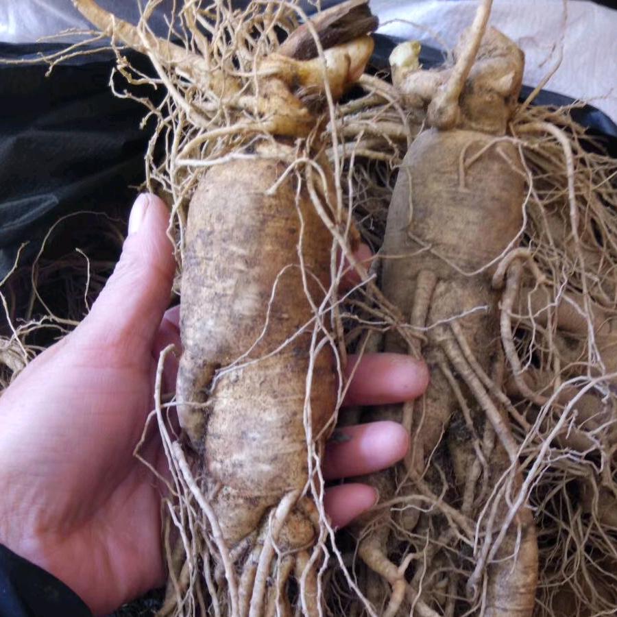 长白山💋兰兰🚴🏻‍♀️