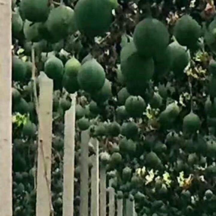 幸福👫