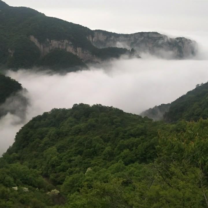 聚强物流柘城专线