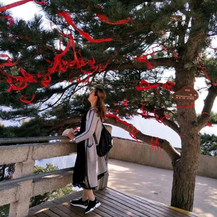 玫瑰🌹