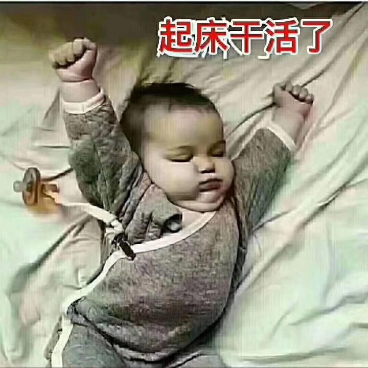小鱼儿