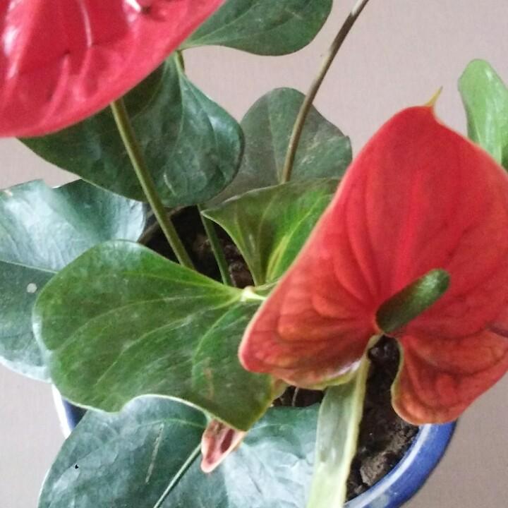 顺其自然