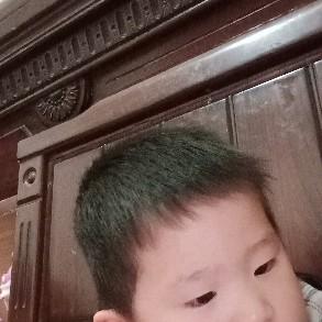 文