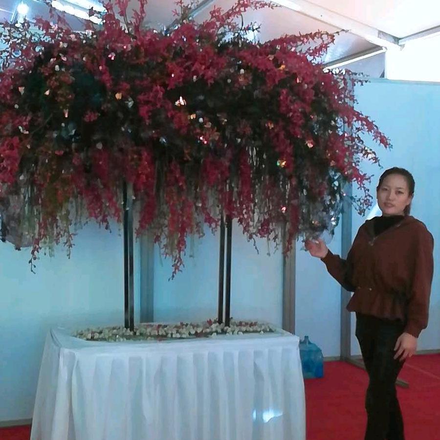邓州市金苹花卉园艺