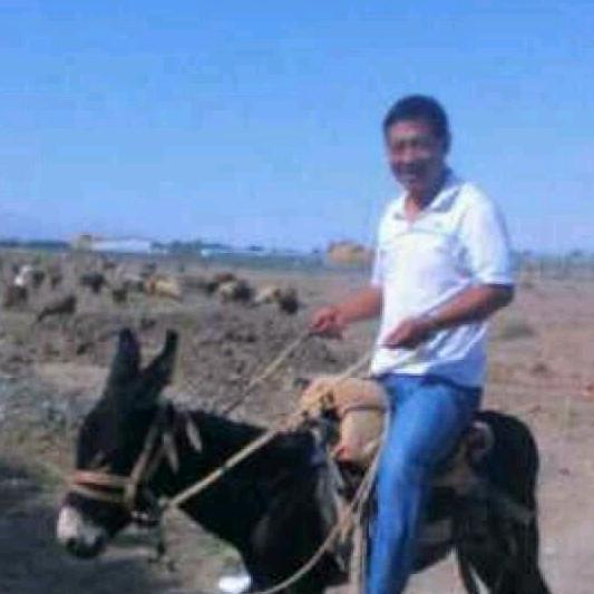 携程司导（回）