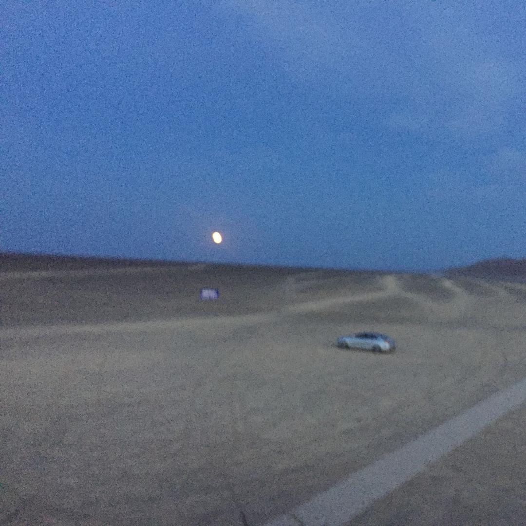 小潴潴跑哪去了…