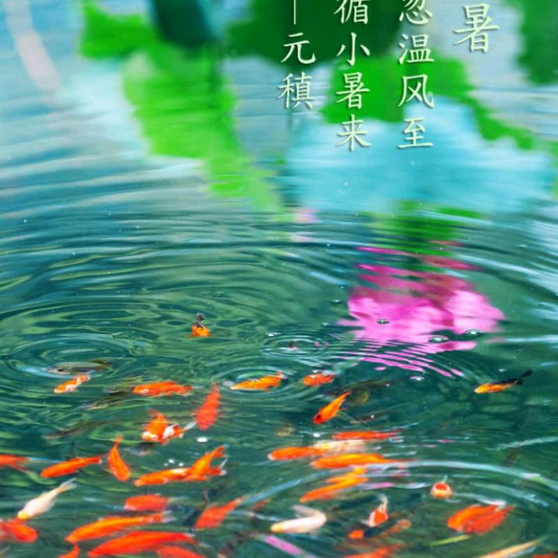 🚬ℒ是梦ℴ终ꦿ会醒❦এۣۖ